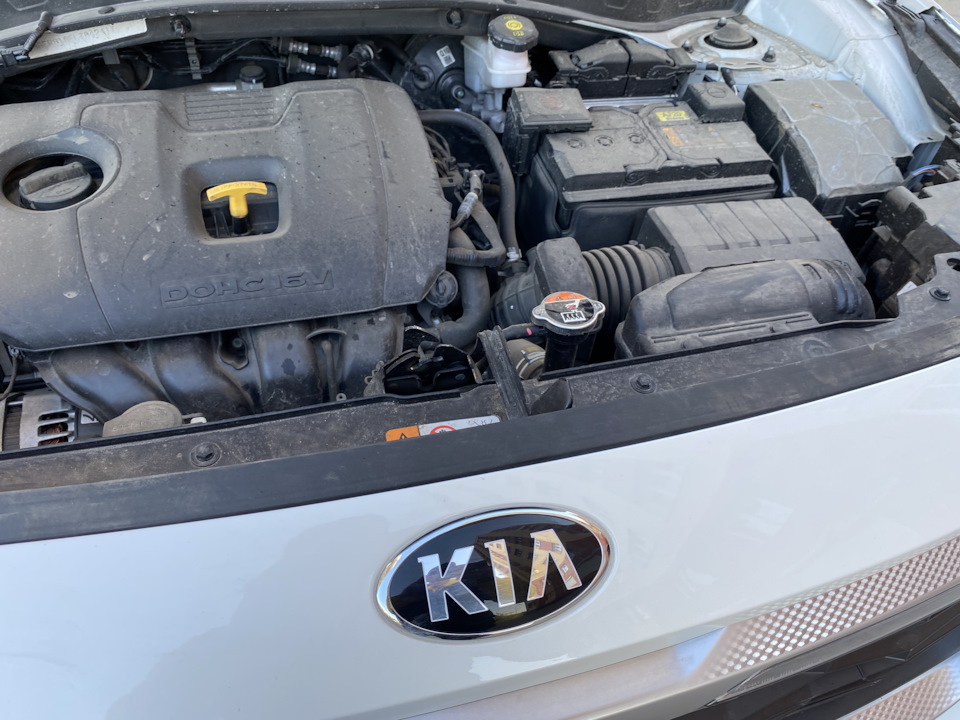 Уплотнитель капота — KIA Seltos, 2 л, 2020 года | своими руками | DRIVE2