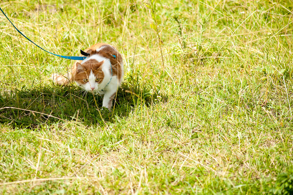 Установка дворников — Lada Vesta, 1,6 л, 2019 года | наблюдение | DRIVE2
