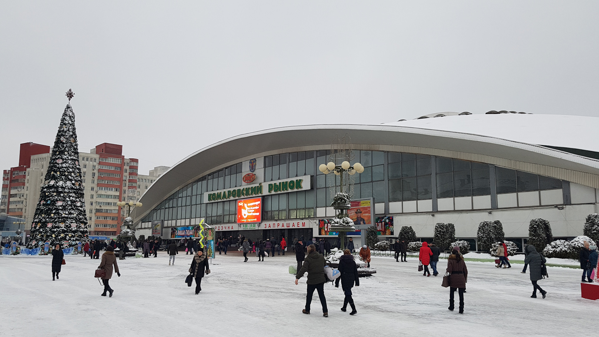 Минск в декабре. Минск в декабре фото. Минск декабрь обои. Минск в декабре 2020 фото отдыхающих.