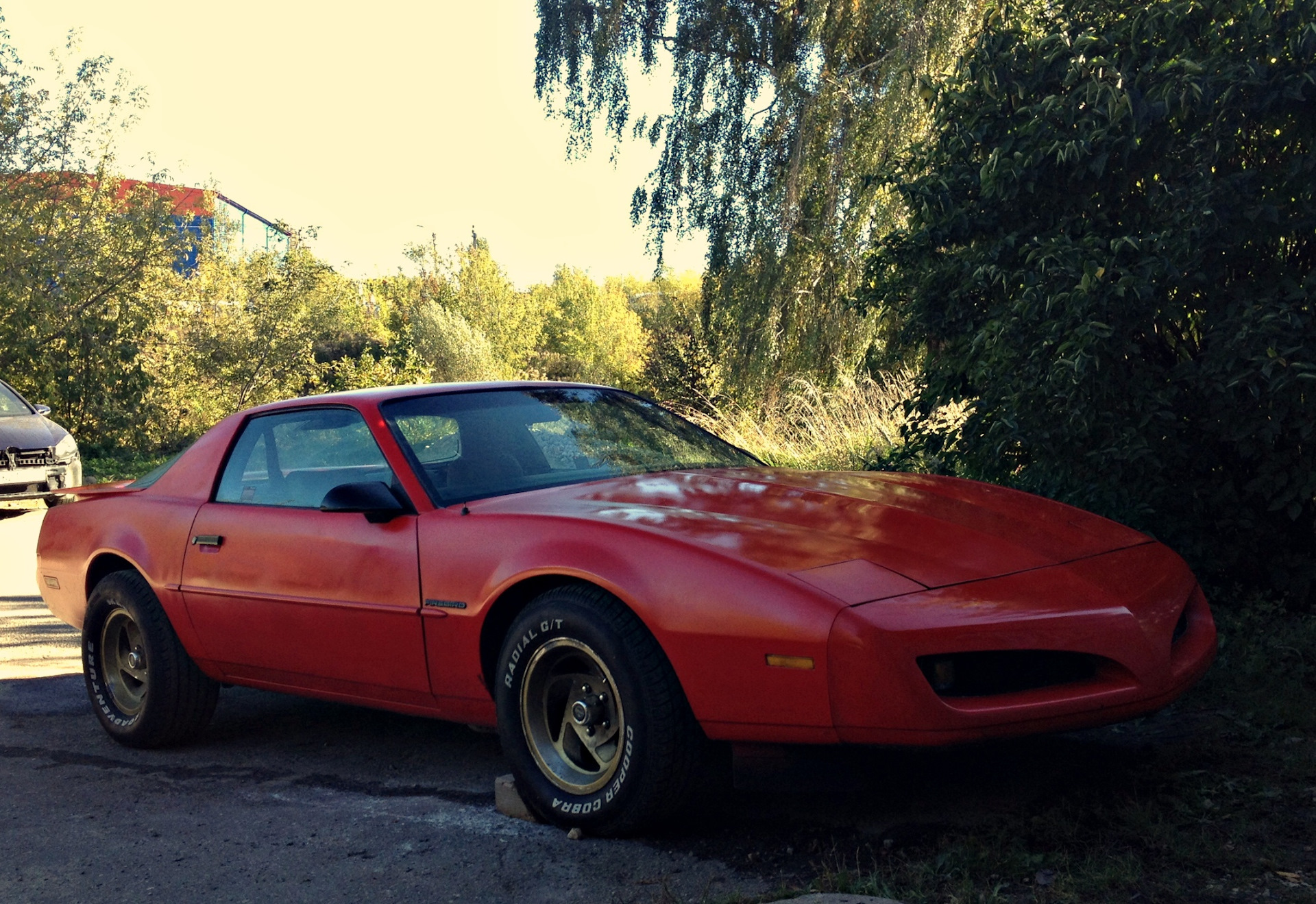 Firebird 2.5. Pontiac Firebird 3 Gen. Pontiac Firebird 1991. Понтиак Фаерберд 5 поколение. Pontiac Firebird 1991 5.0.