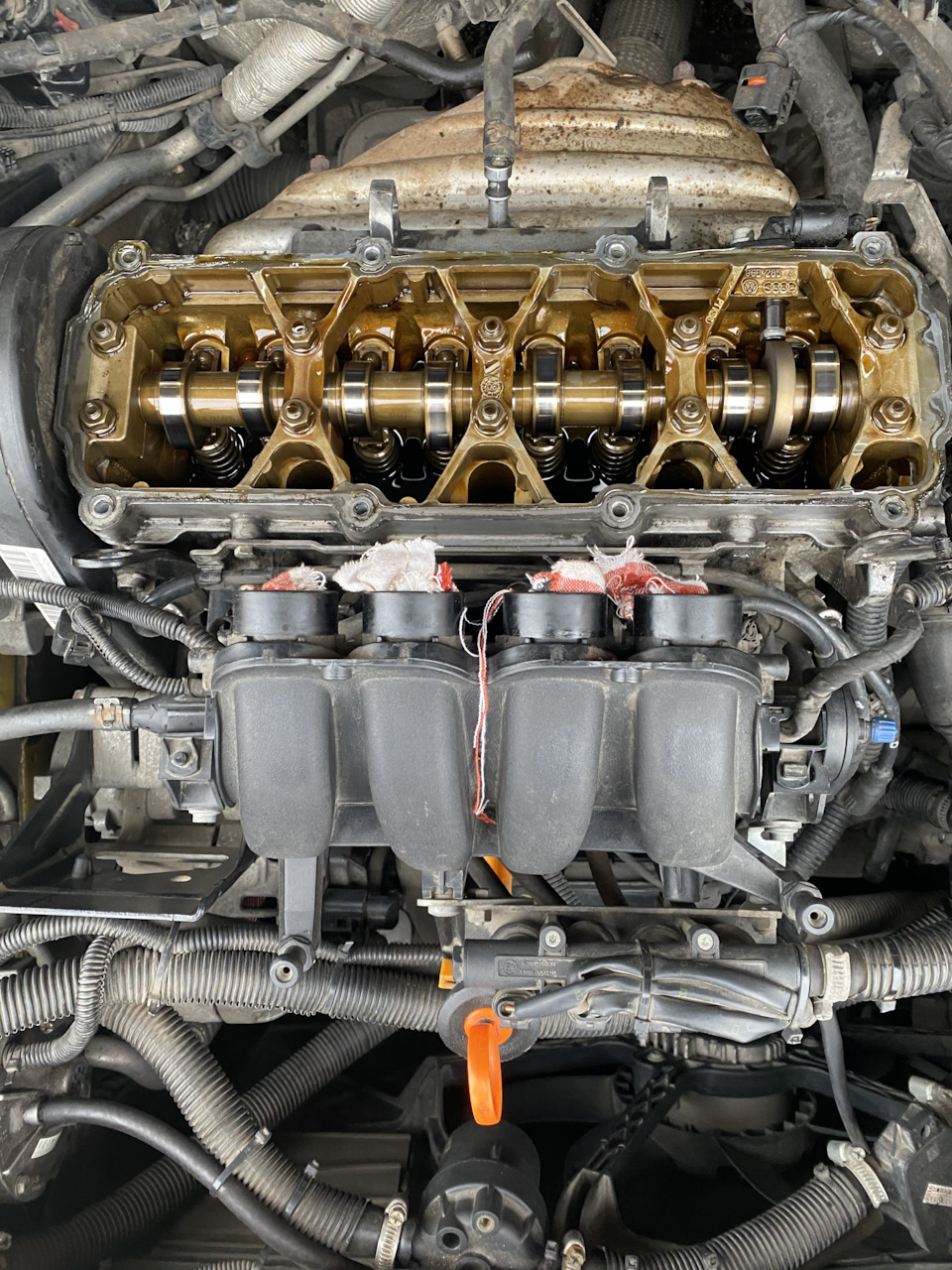 Замена прокладки под клапанной крышкой — SEAT Leon (Mk II), 1,6 л, 2007 ...