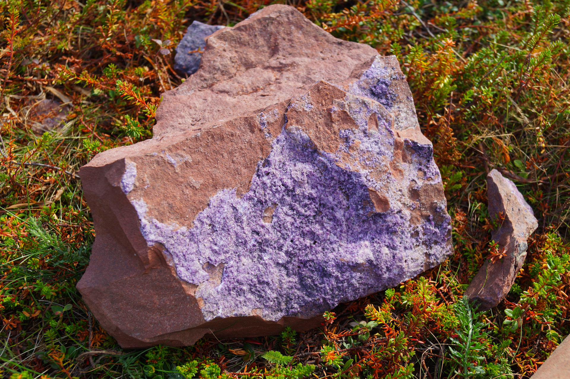 камни кольского полуострова фото