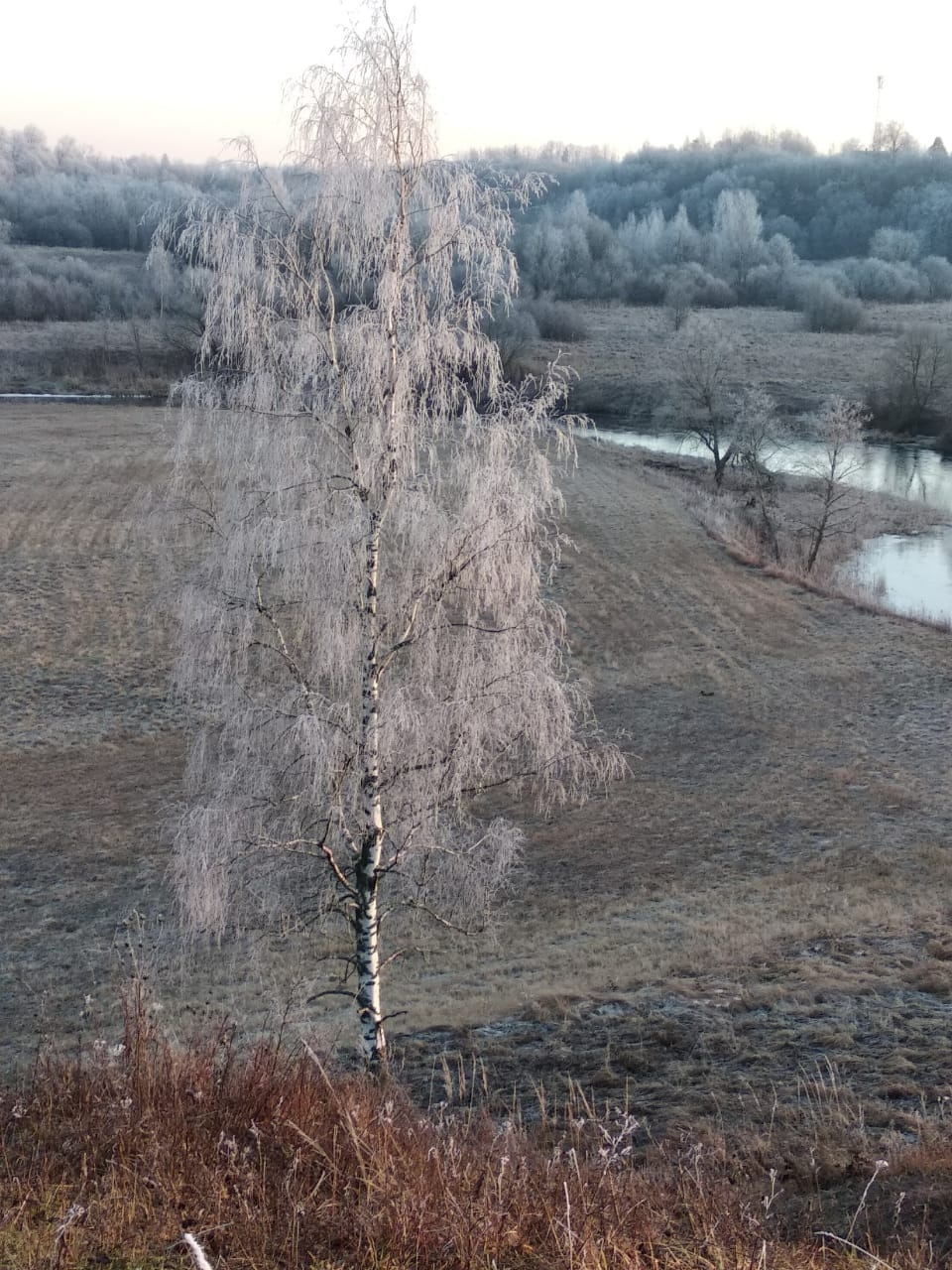 Фото в бортжурнале Mitsubishi Pajero Sport (2G)