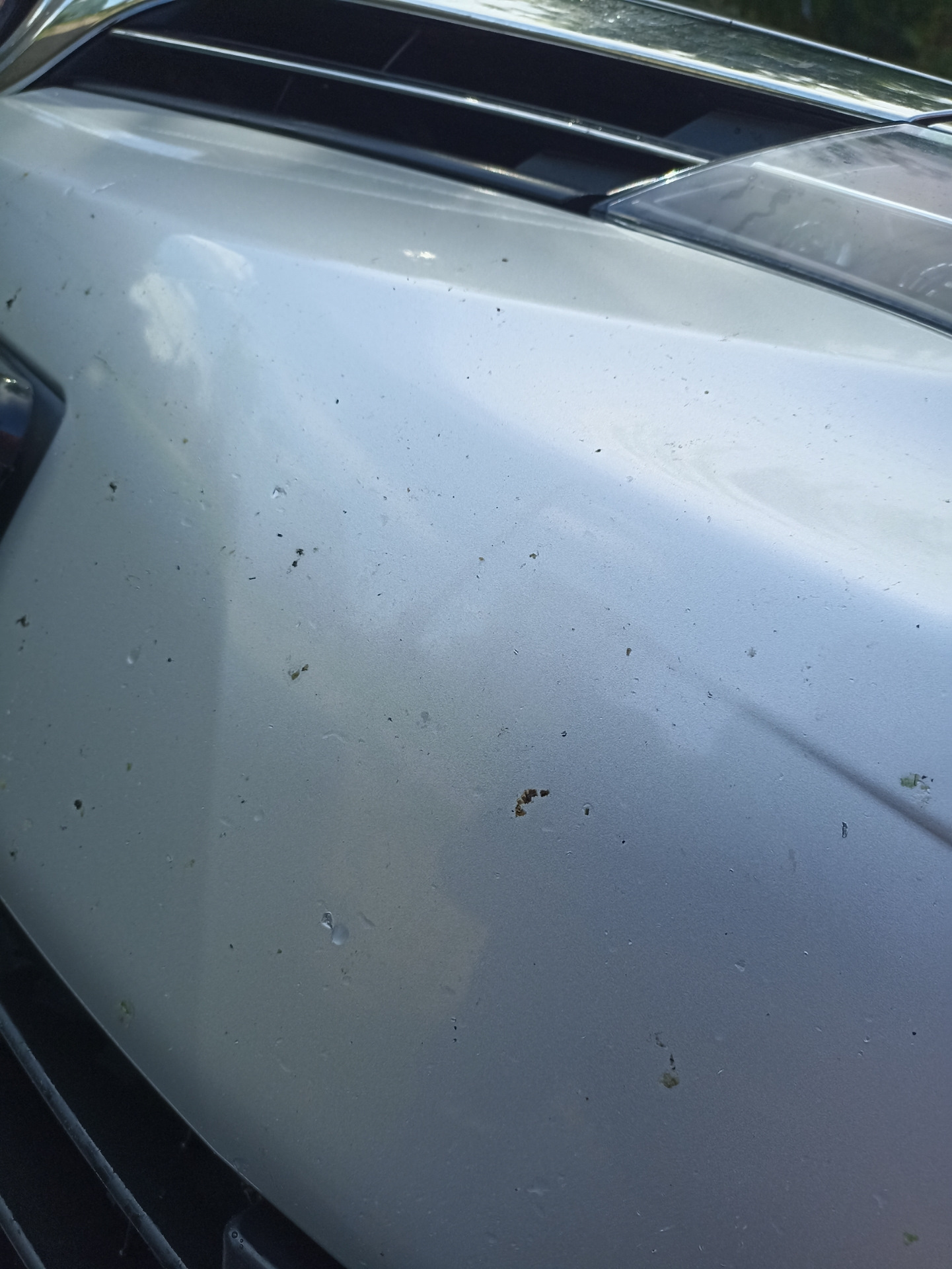 Удаление битума с кузова! — Toyota Corolla (160), 1,6 л, 2016 года ...