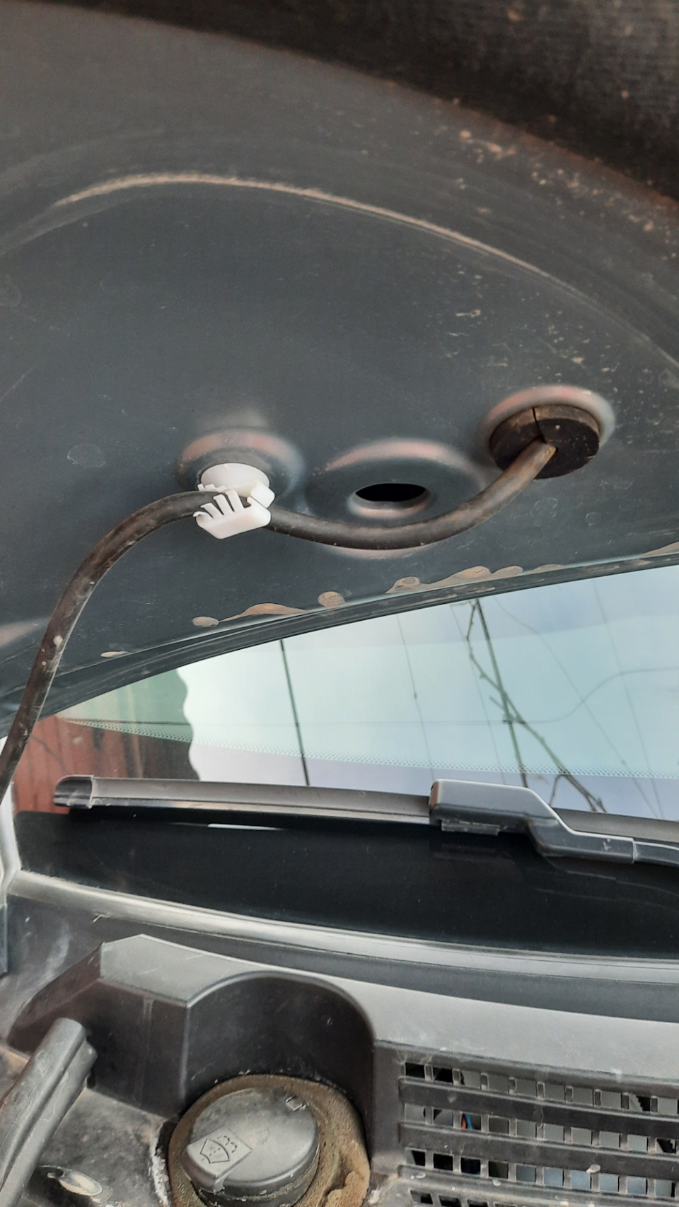 Клипса капота держатель шланги — Lada Vesta SW, 1,6 л, 2019 года ...