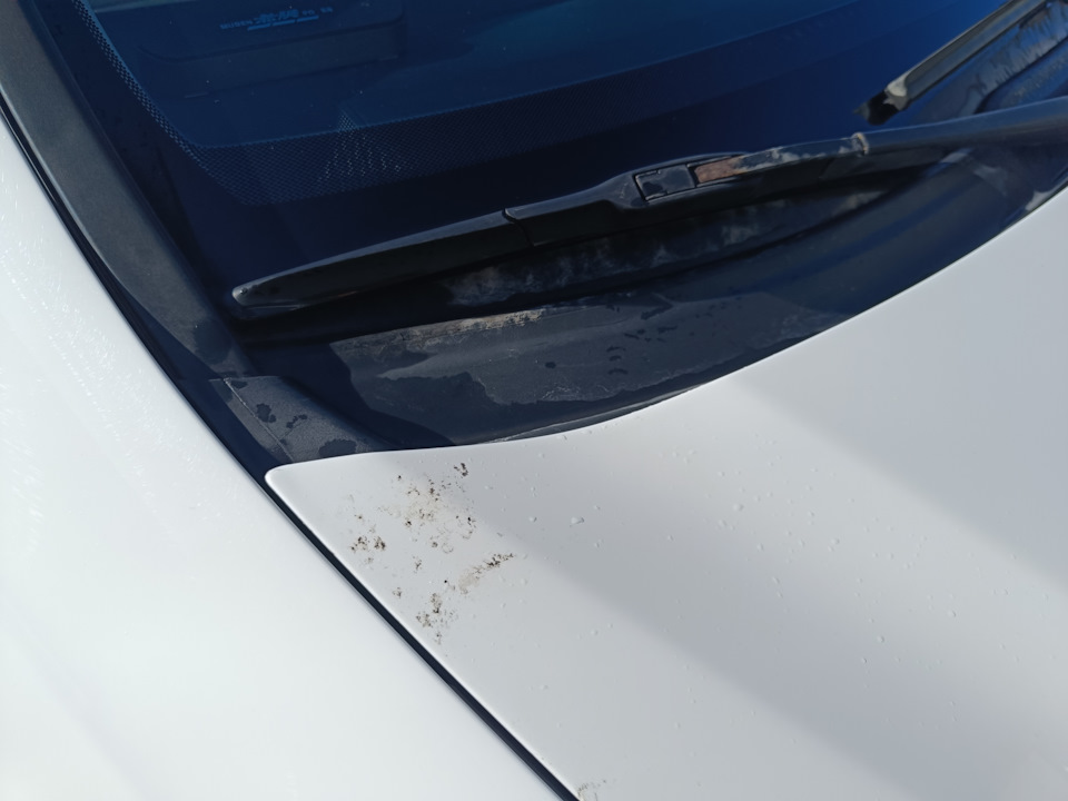 103. Отзыв о мойке-роботе КАВЗ в Клину — Honda Accord (7G), 2,4 л, 2005 ...