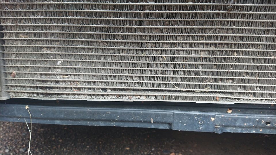 Металлический лязг спереди, нужен новый радиатор — Volkswagen Golf Mk7 ...