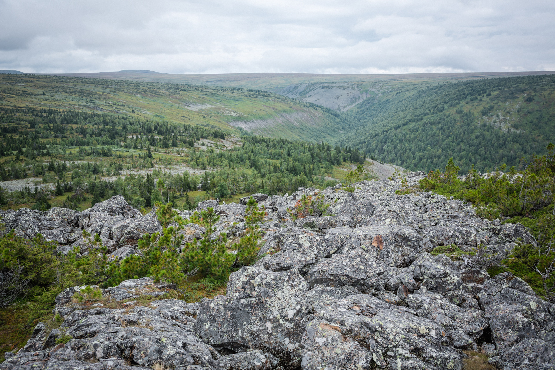 Плато Кваркуш