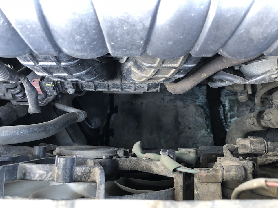 Песцу приснился радиатор. — Mitsubishi Outlander (3G), 2 л, 2015 года ...