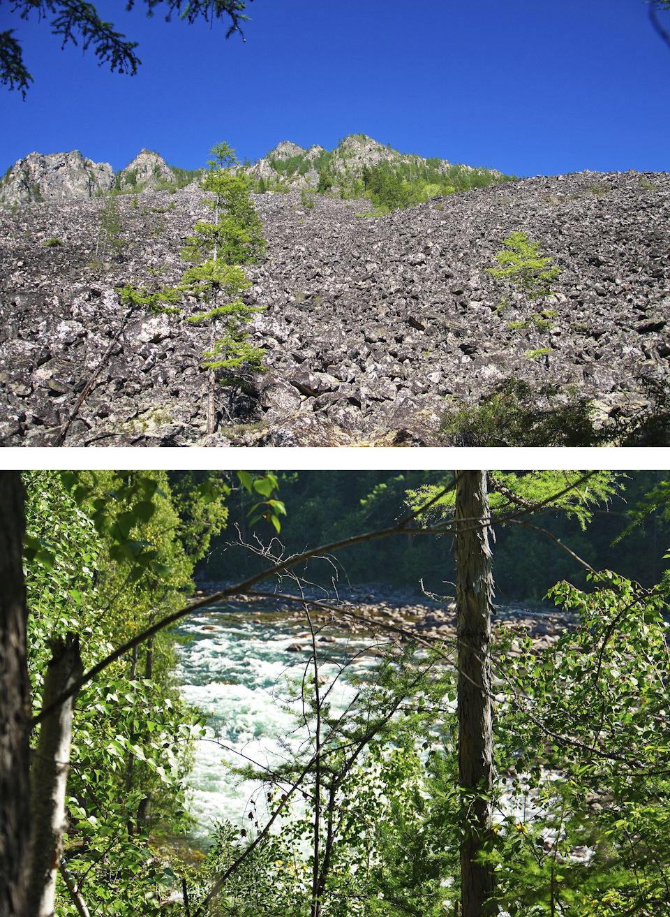 Форд мондео 3 клапан егр как заглушить - 87 фото