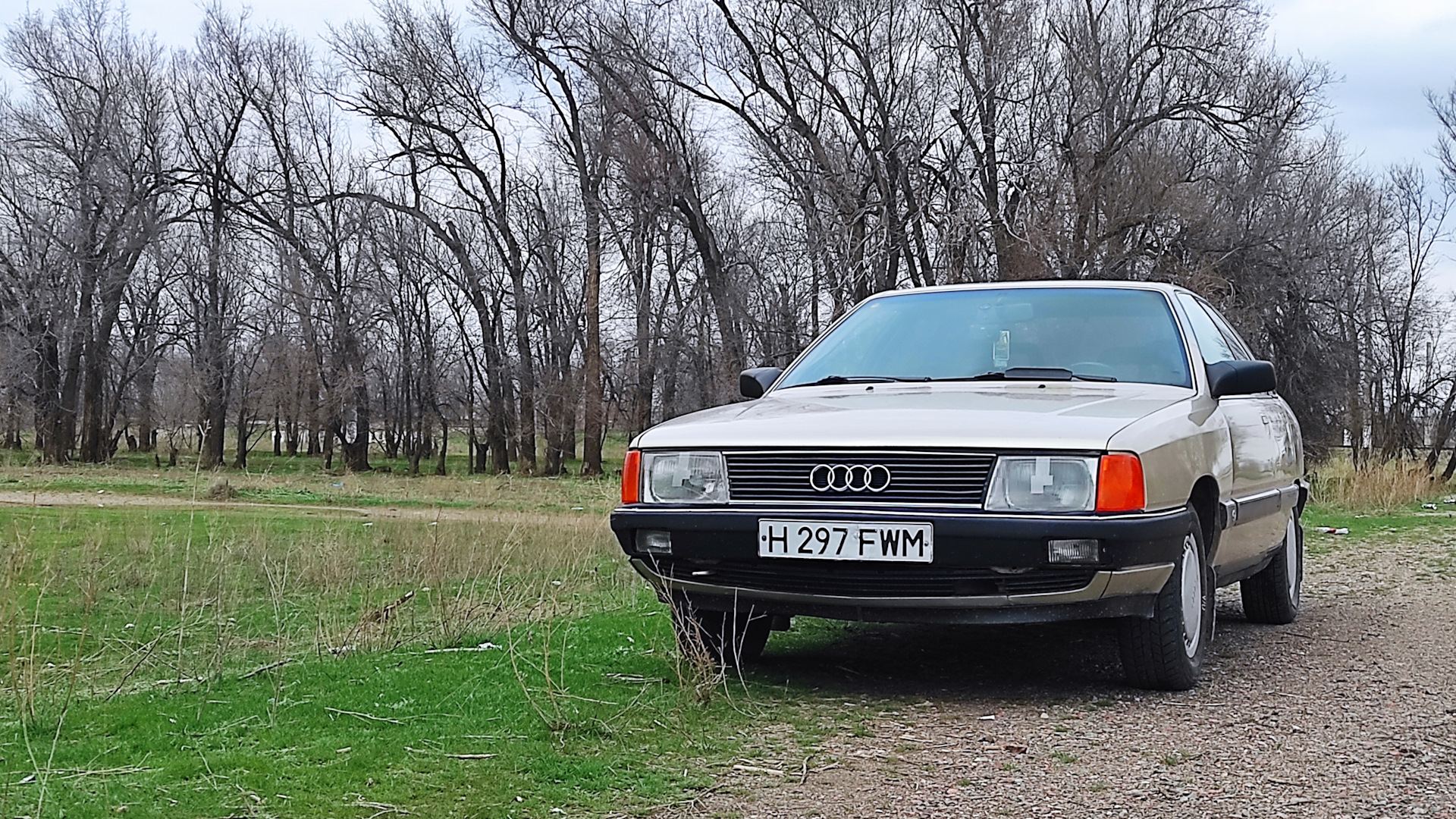 Audi 100 (C3) 2.3 бензиновый 1990 | Золотая селёдка на DRIVE2