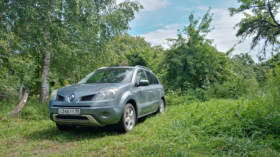 Renault Koleos (1G) 2.5 бензиновый 2008 | Бегемотик на DRIVE2