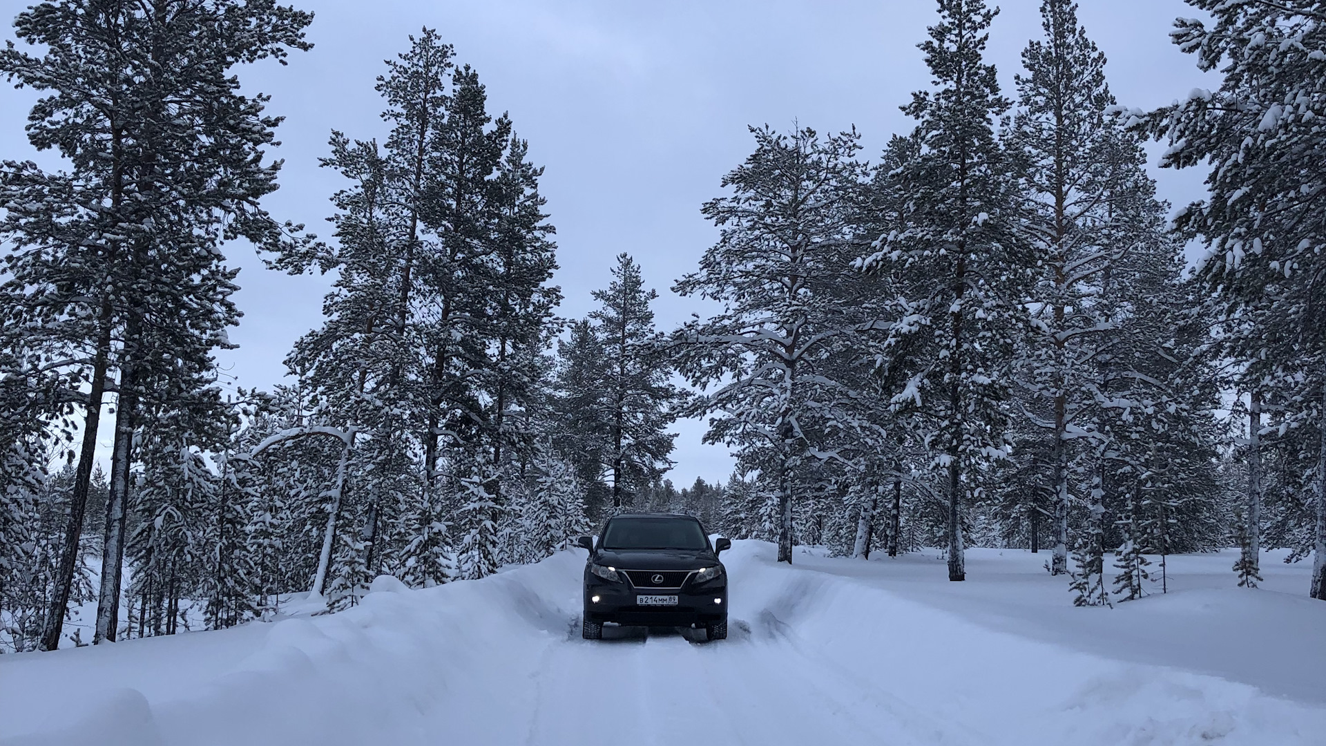 Lexus RX (3G) 3.5 бензиновый 2009 | Лёха СЕВЕР на DRIVE2