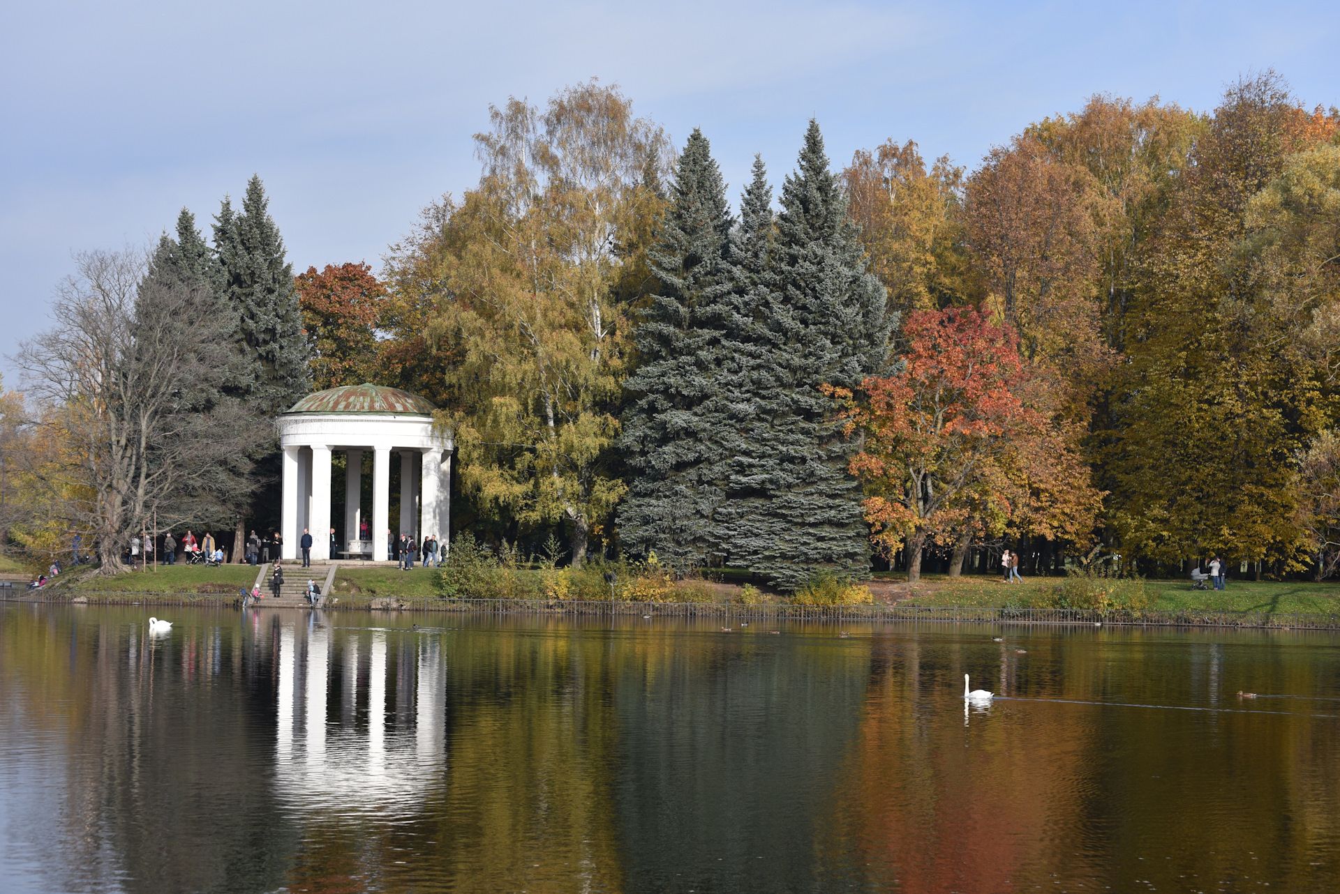 Приморский парк санкт петербург