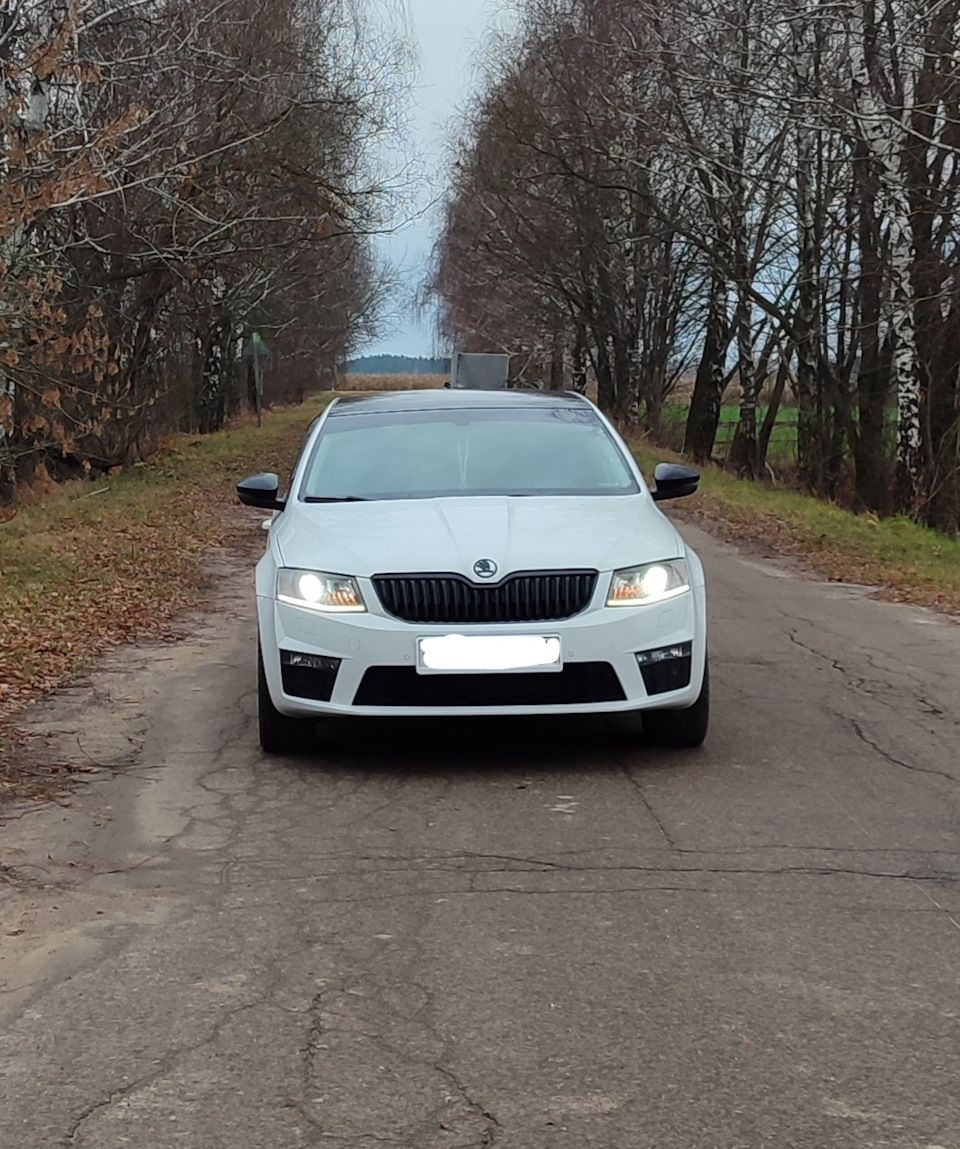 В планах продать октаху. Пора двигаться дальше… — Skoda Octavia A7 Mk3, 1,8  л, 2015 года | продажа машины | DRIVE2