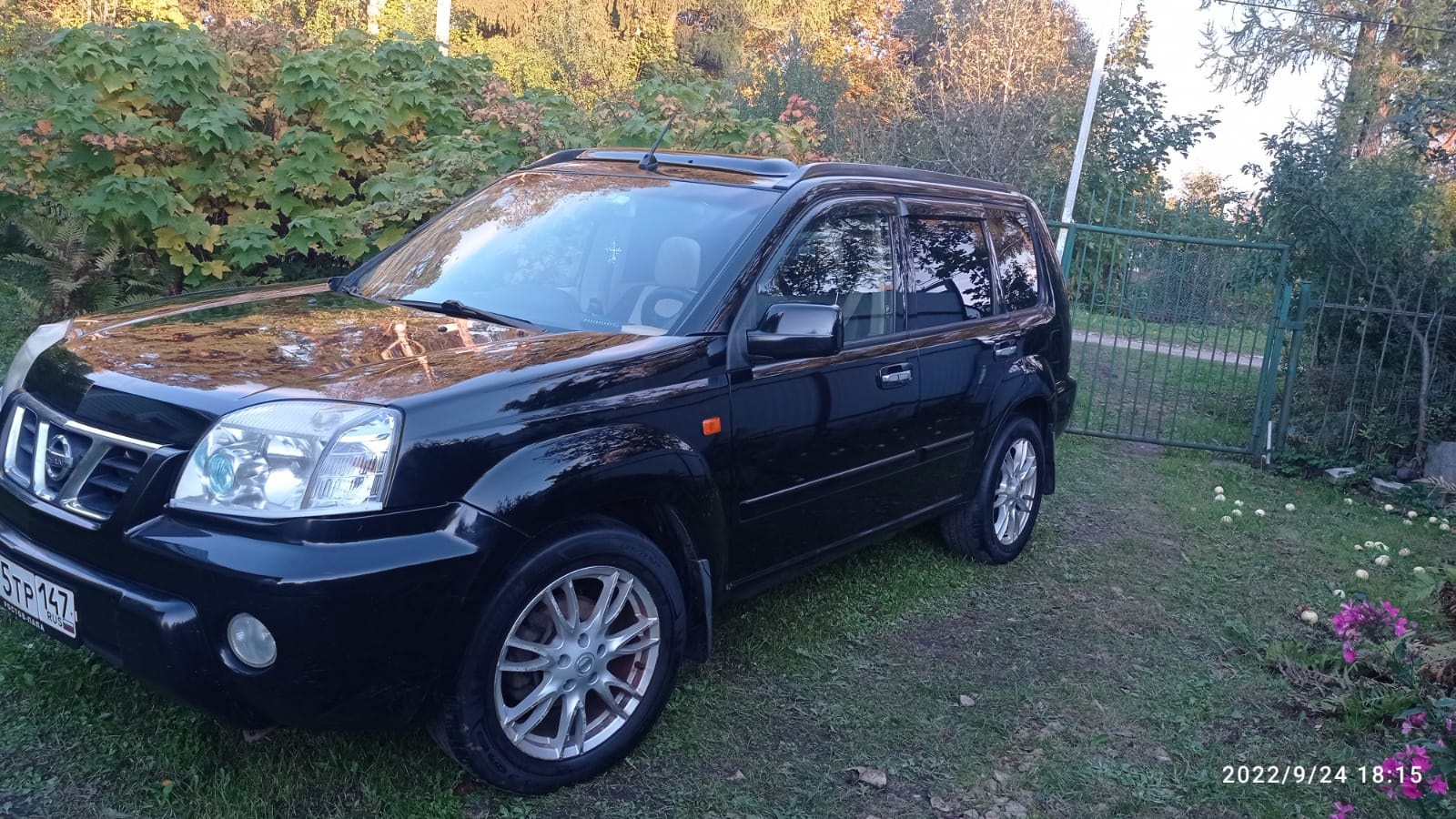 Продажа Nissan X-Trail I (t30) 2003 (дизель, МКПП) — с историей  обслуживания — DRIVE2.RU