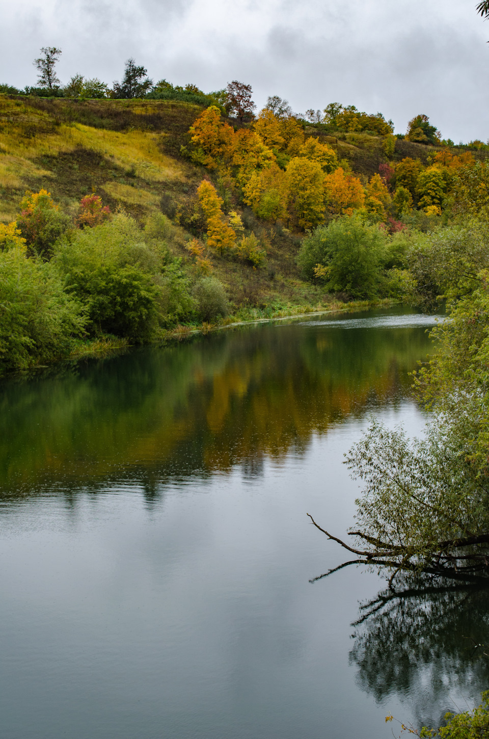 Фото в бортжурнале Renault Sandero Stepway (2G)