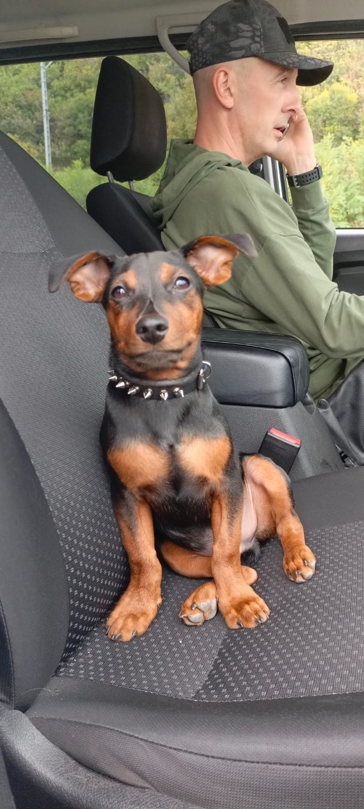 Фото в бортжурнале УАЗ Patriot