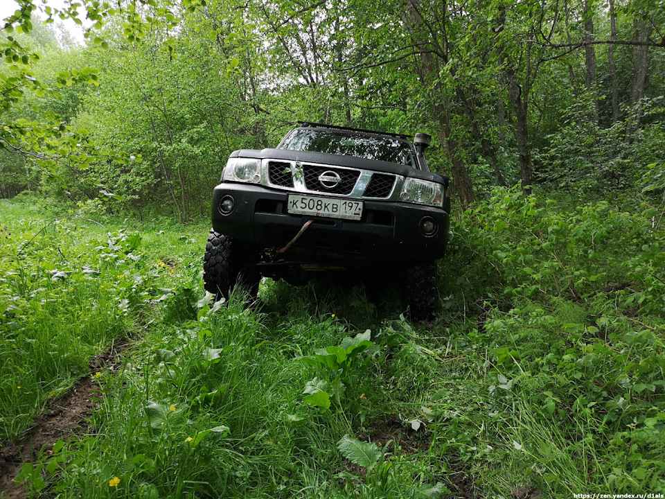 Смоленское поозерье. Лесные дорожки на границе Смоленщины и Тверской — Nissan Patrol GR II (Y61)