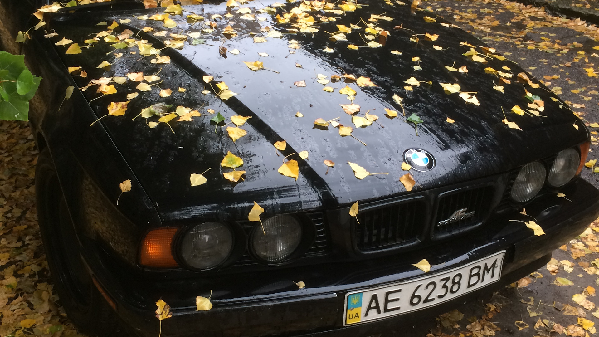 BMW 5 series (E34) 2.5 бензиновый 1992 | ПОЛНЫЙ ПРИВОД ПО ЗАВОДУ! на DRIVE2