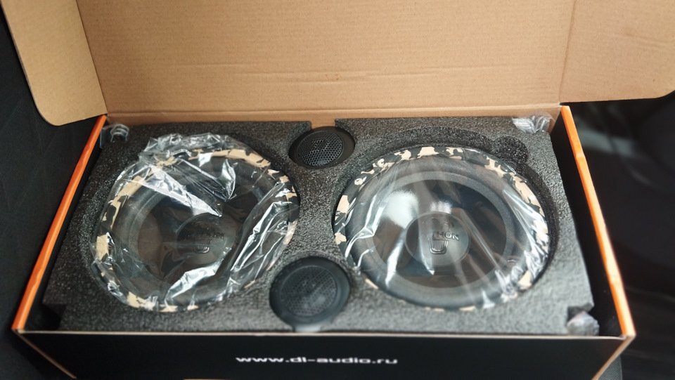 . — Renault Sandero Stepway (2G)