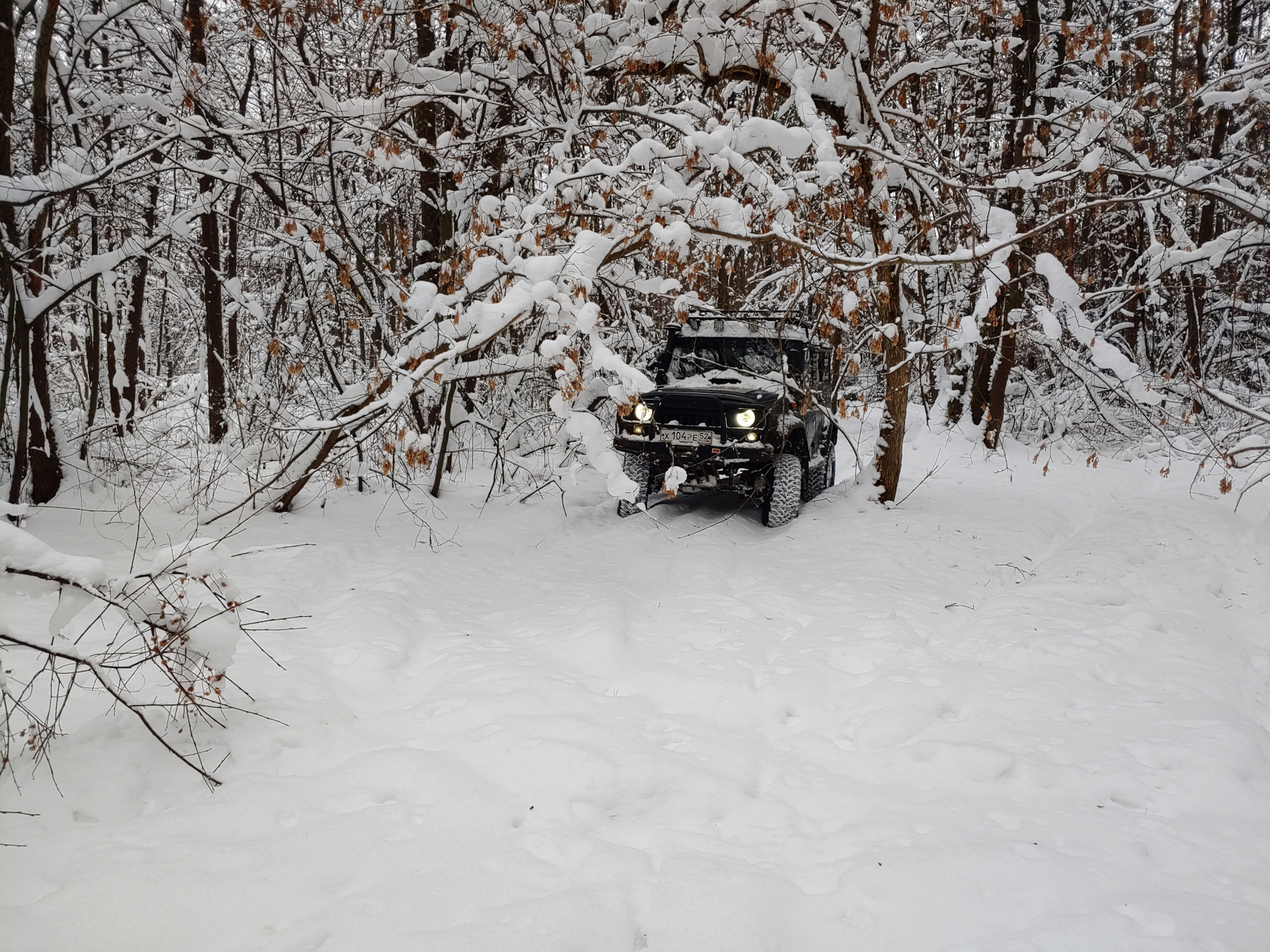 Фото из зимнего леса. Обкатка УАЗ Hanter QD32T — УАЗ 315195 Hunter, 3,2 ...