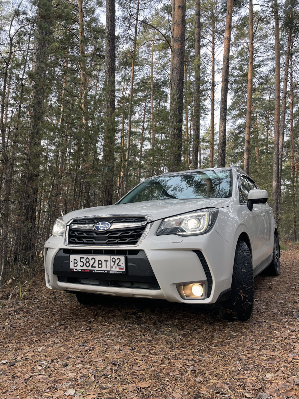 Выставлен на продажу — Subaru Forester (SJ), 2 л, 2017 года | продажа машины  | DRIVE2