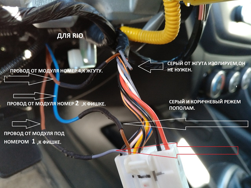 За что отвечают провода. Модуль круиз контроля Kia Rio. Провод для подключения круиз контроля Киа Рио 4.