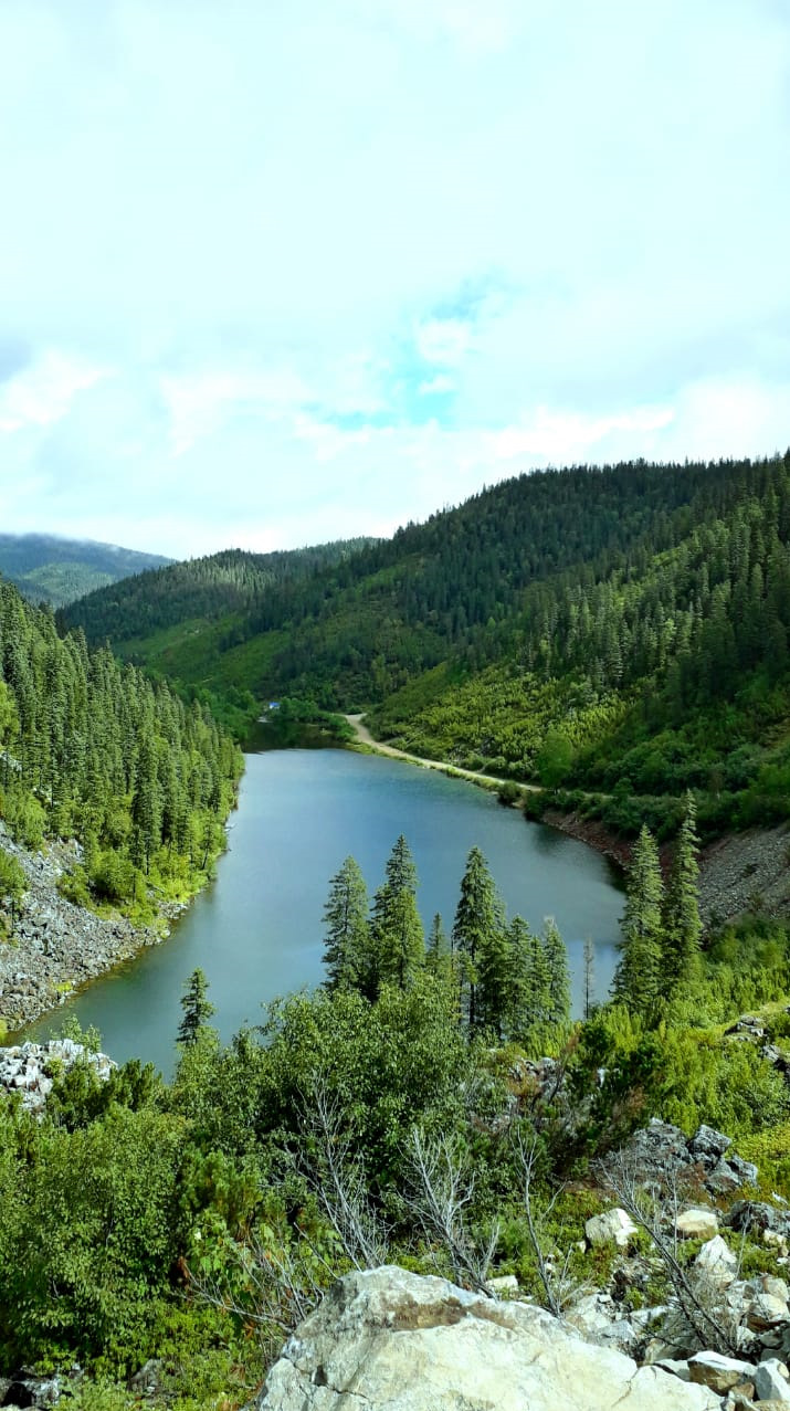 Хабаровский край п