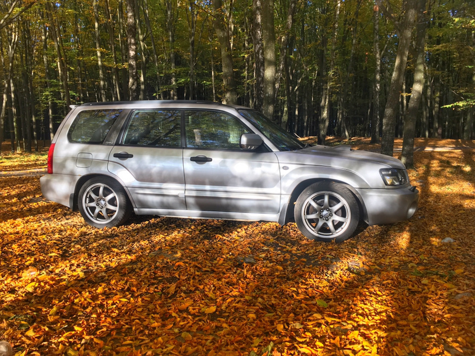 Subaru Forester 2021 осень