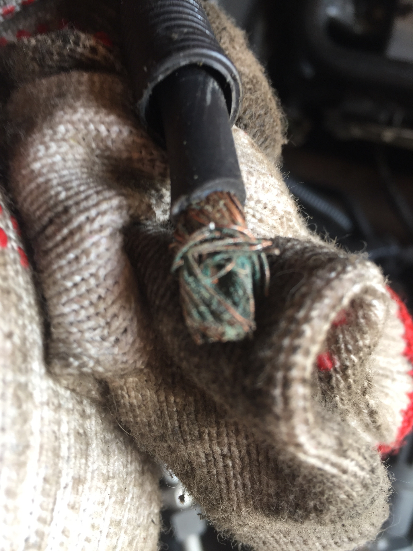 Лопнула клемма акб — Audi A4 (B6), 1,8 л, 2003 года | просто так | DRIVE2