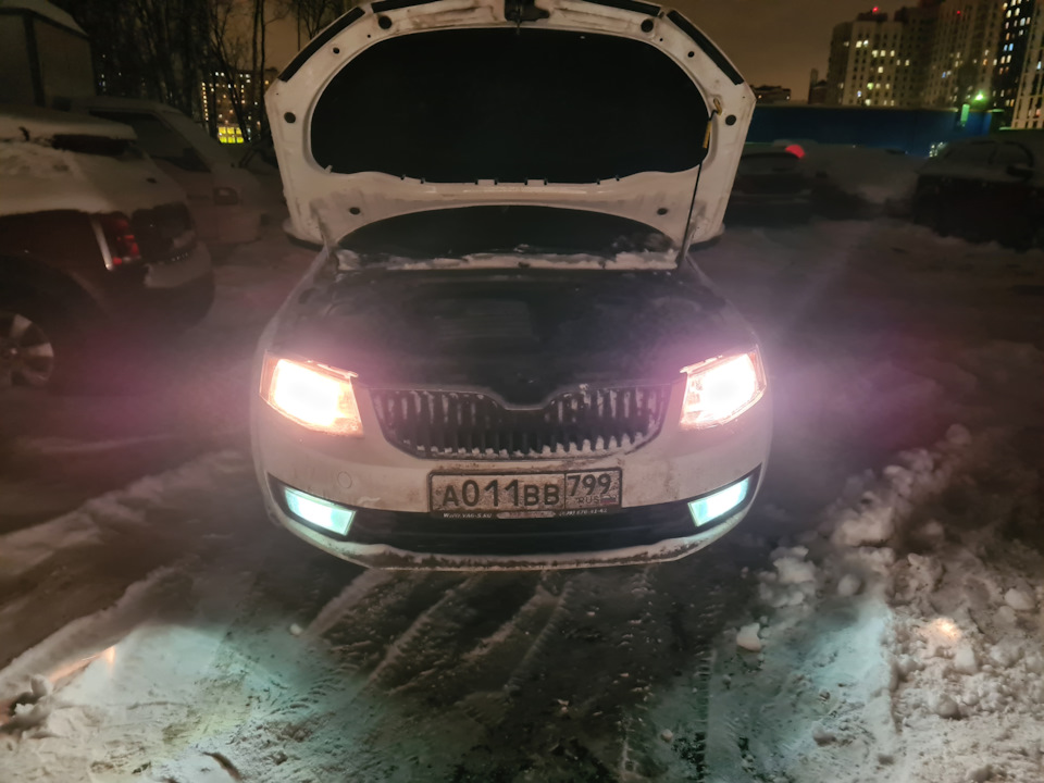 Замена ламп освещения Skoda Octavia A7 в Москве