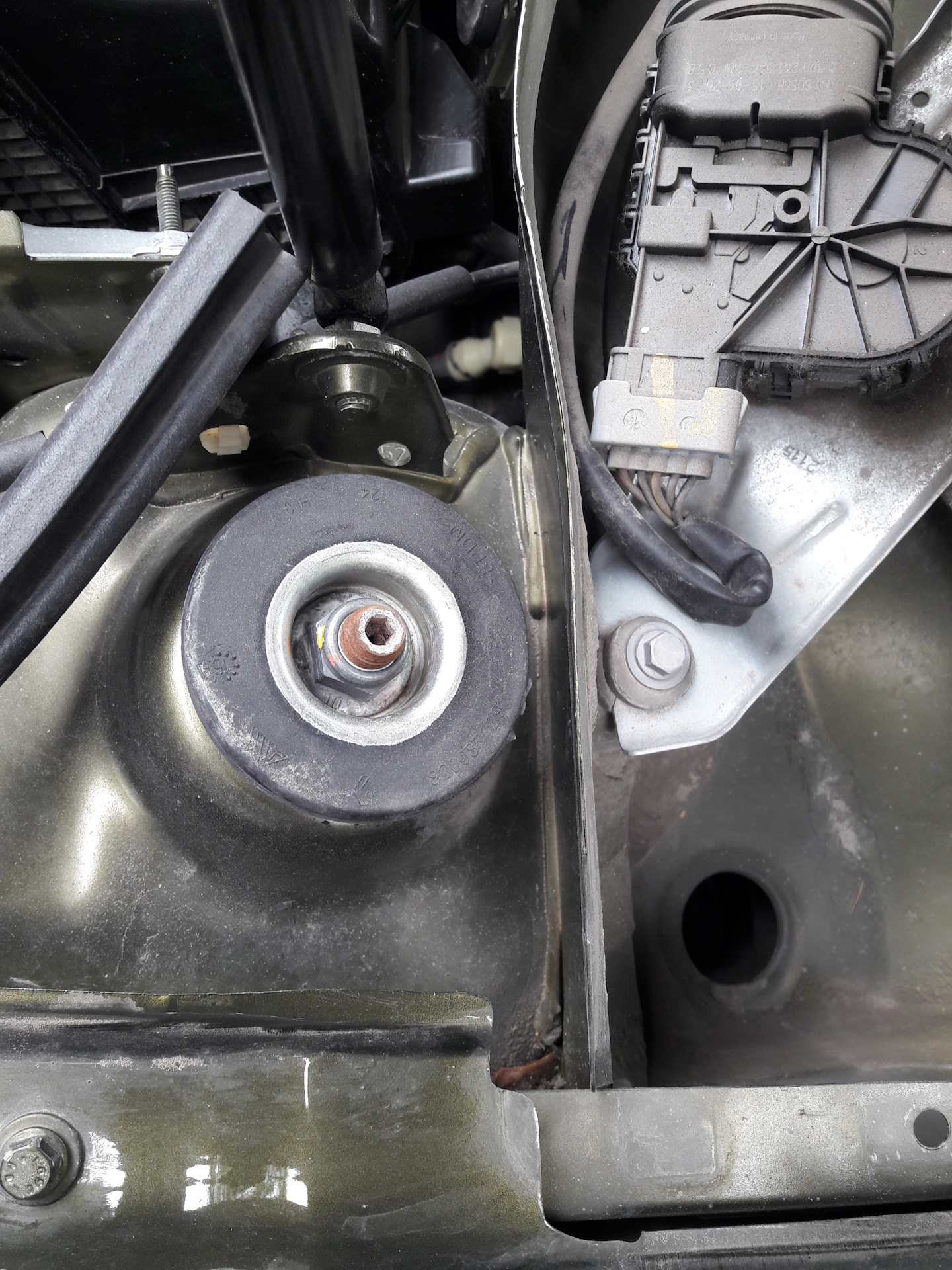 Маскитная сетка в воздухозаборник + Развал-схождение по новым ...