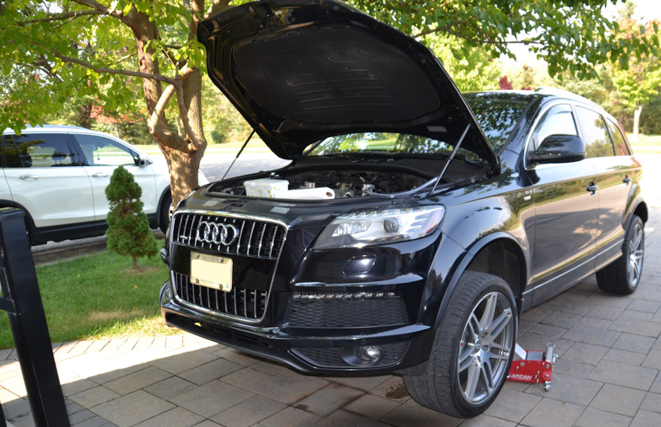 Замена жидкости в гидроусилителе руля / ГУР Q7 4.2 FSI — Audi Q7 (1G ...