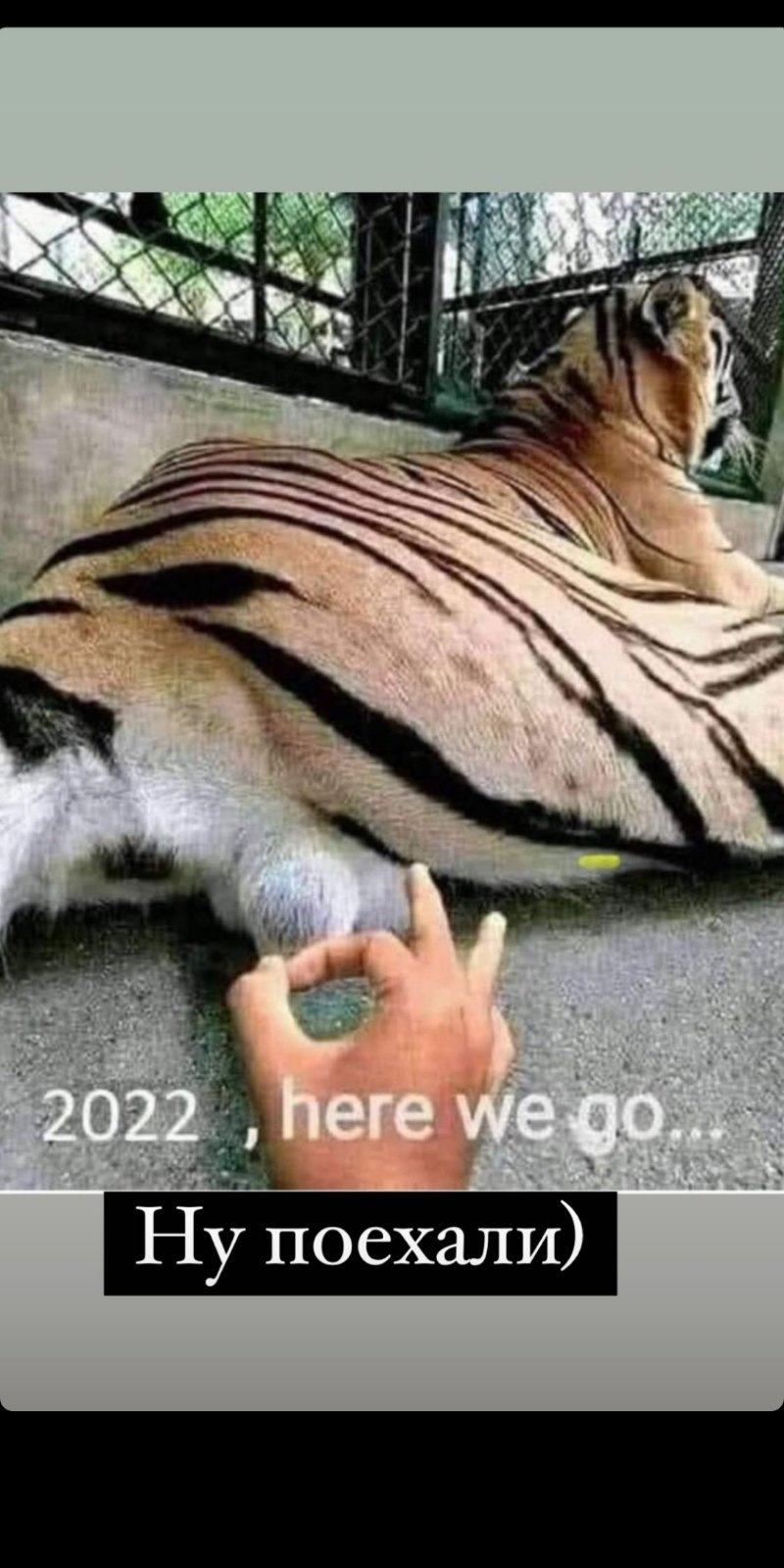 Ниссан Навара 2022 Фото Цена Года Ниссан Навара 2022 Фото Цена Года