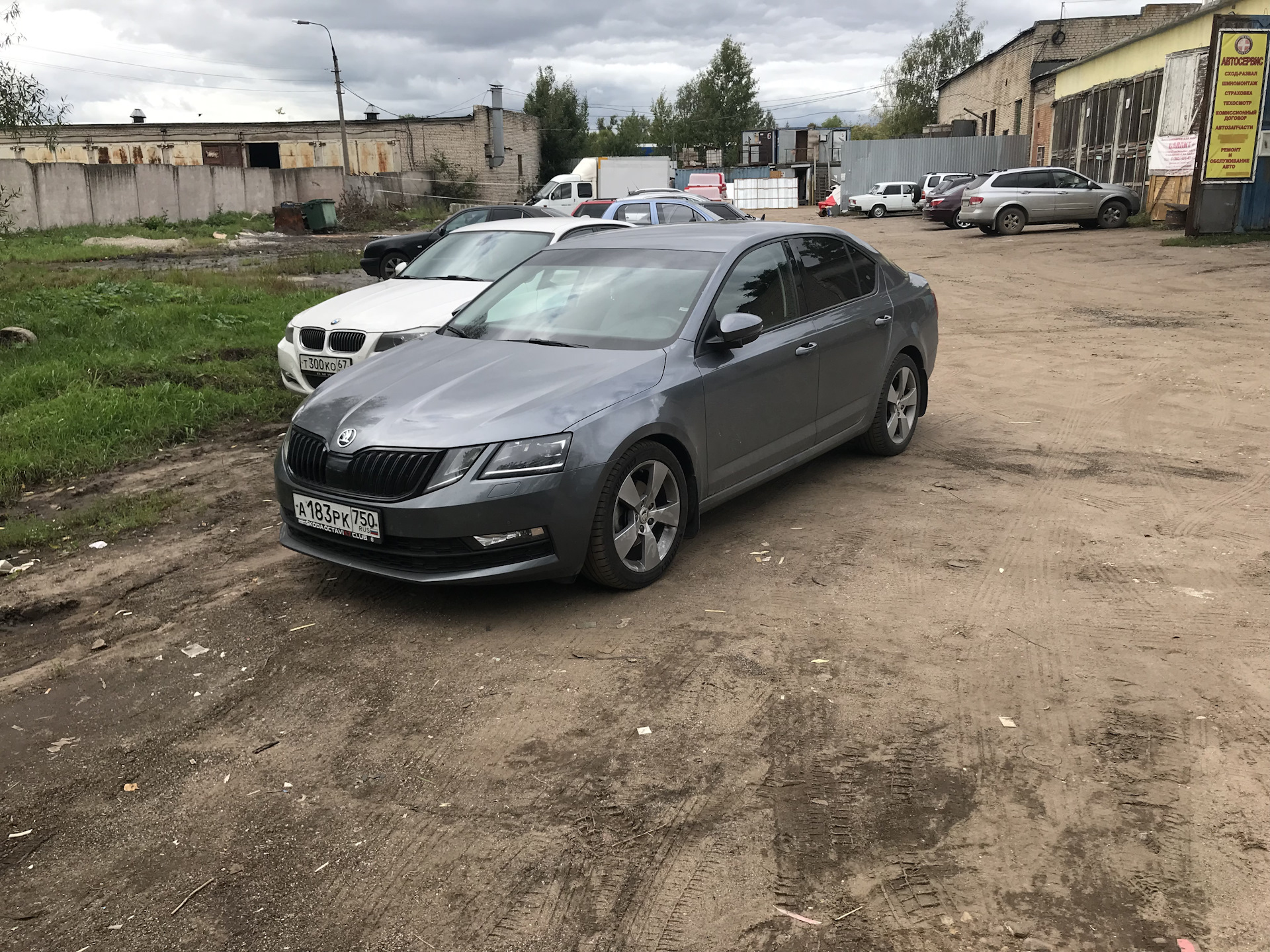 Skoda octavia серая. Skoda Octavia a7 серая. Skoda Octavia a8 серая. Skoda Octavia Platinum Grey.