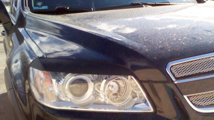 Chevrolet Captiva Черныш