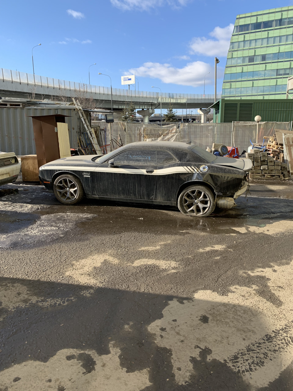 Эпизод первый. Не простой выбор. — Dodge Challenger, 3,6 л, 2019 года |  покупка машины | DRIVE2