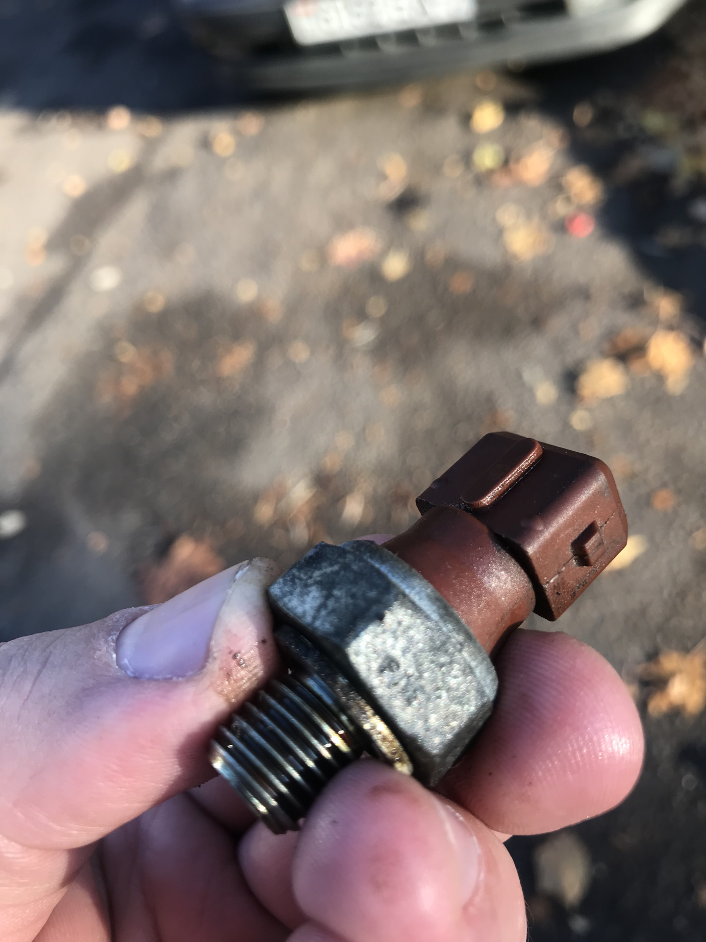 Engine oil pressure/замена датчика давления масла — BMW 5 series (E60), 2,5 л, 2003 года