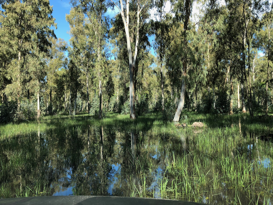 Фото в бортжурнале Suzuki Jimny (1G)