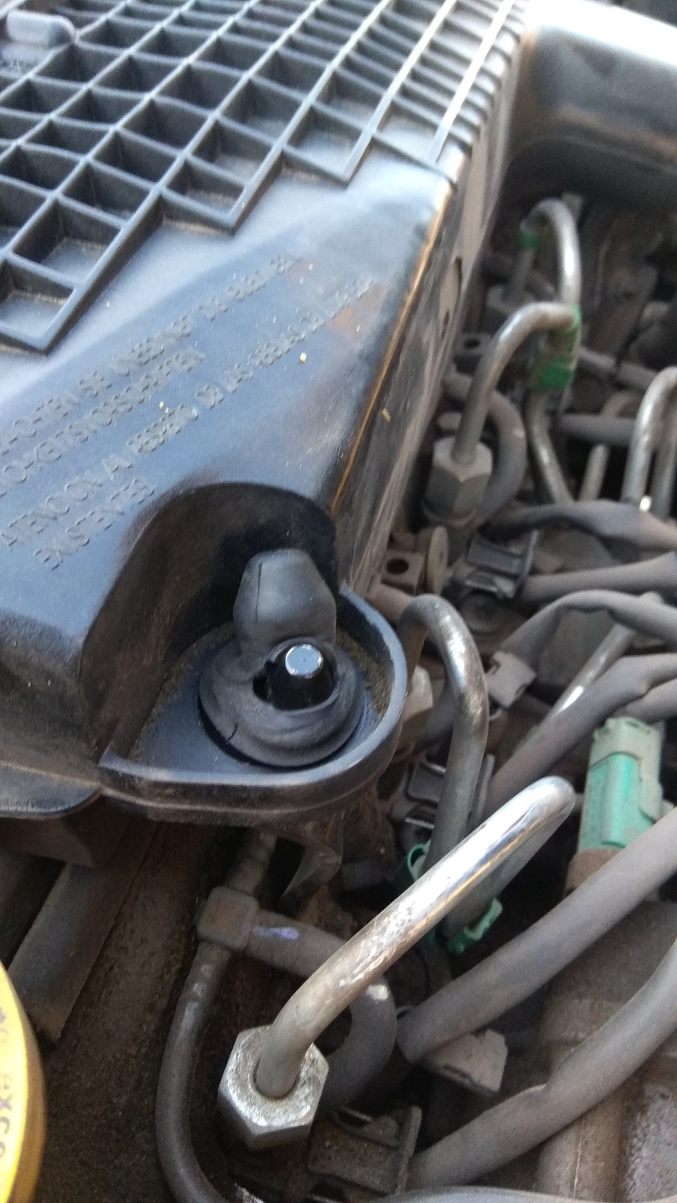Подушка корпуса воздушного фильтра Renault Kangoo 8200818374 либо ASAM ...