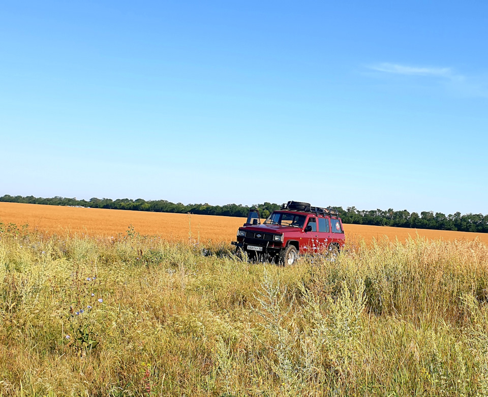 Из дальних странствий возвратясь… — Nissan Patrol (W260), 2,8 л, 1992 ...