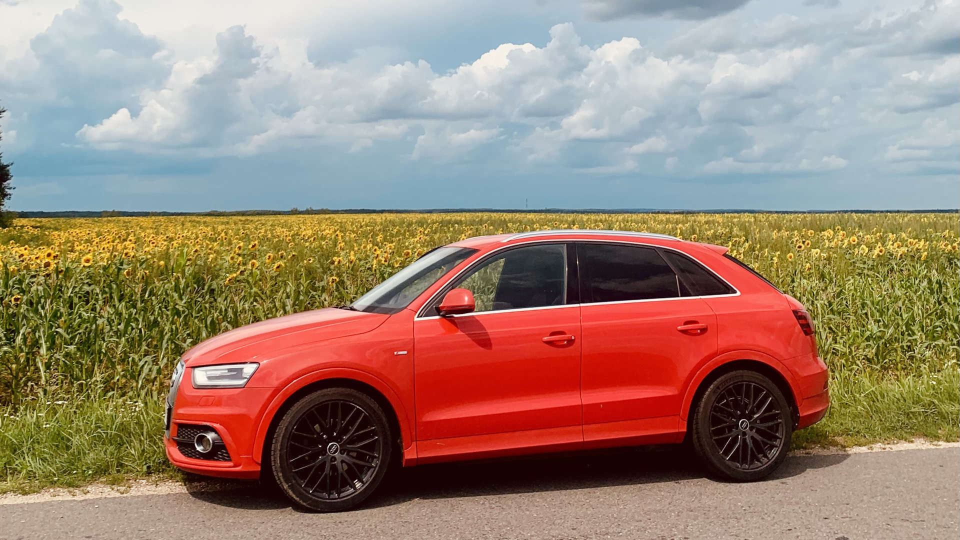 Audi Q3 (1G) 2.0 бензиновый 2014 | на DRIVE2