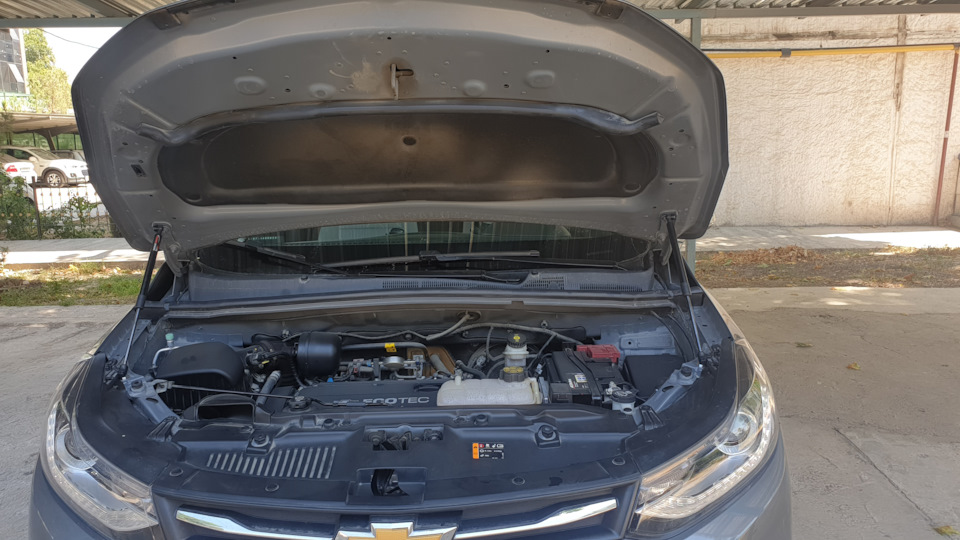 Газовые упоры капота — Chevrolet Tracker (Trax), 1,8 л, 2019 года ...