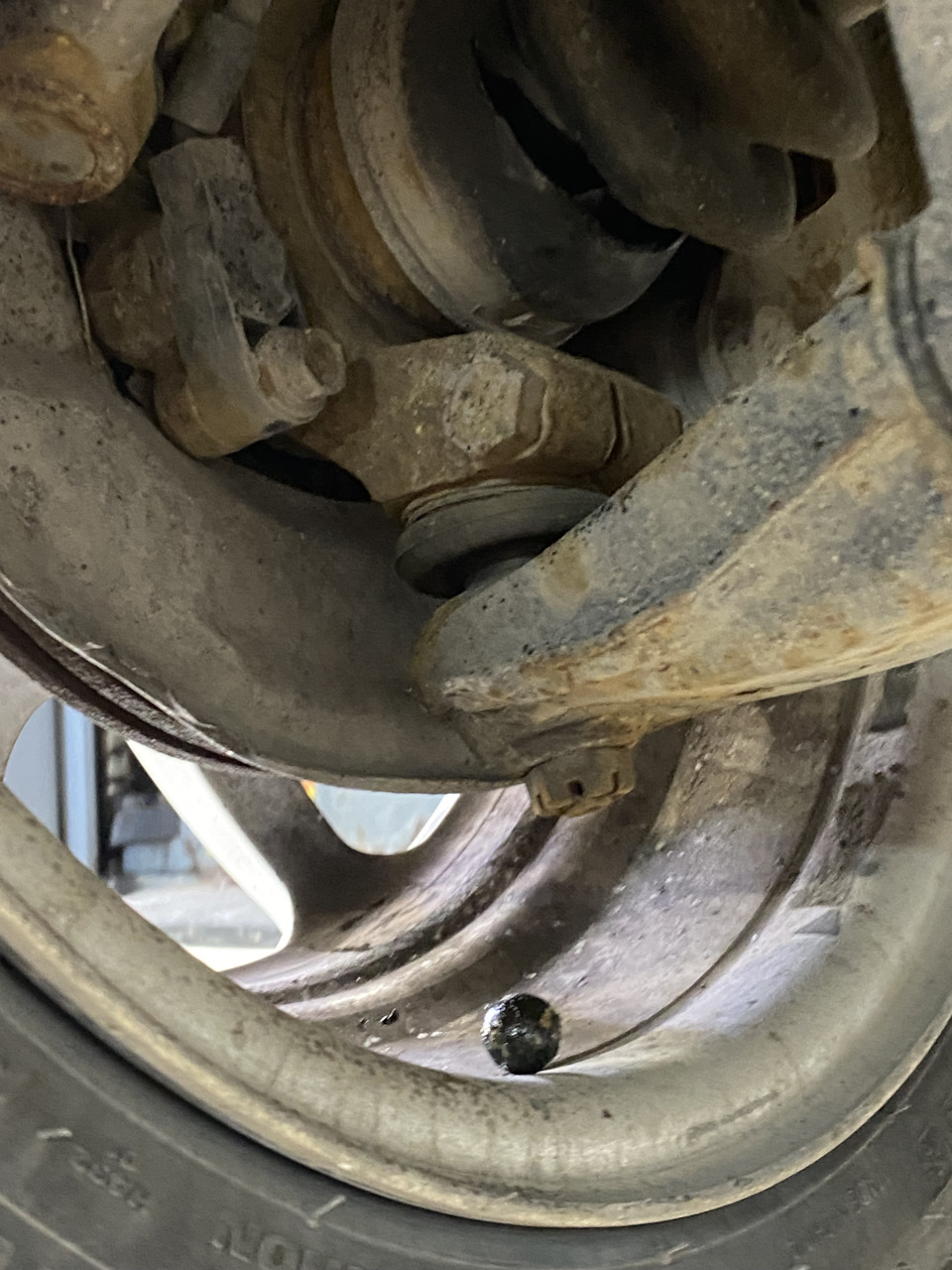 Фото в бортжурнале Subaru Domingo