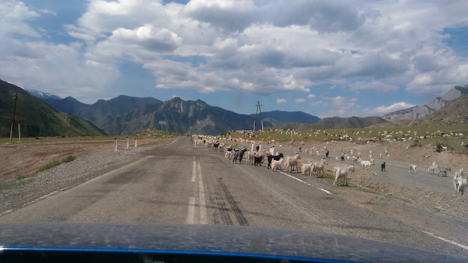 Фото в бортжурнале Hyundai Creta (1G)