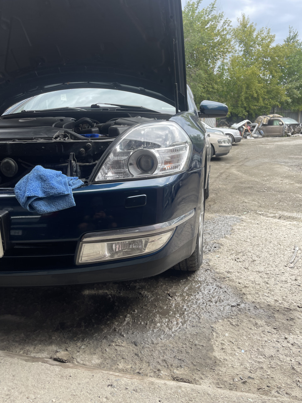 Заехал к умельцам отполировать передние фары и птф. — Nissan Teana (J31 ...