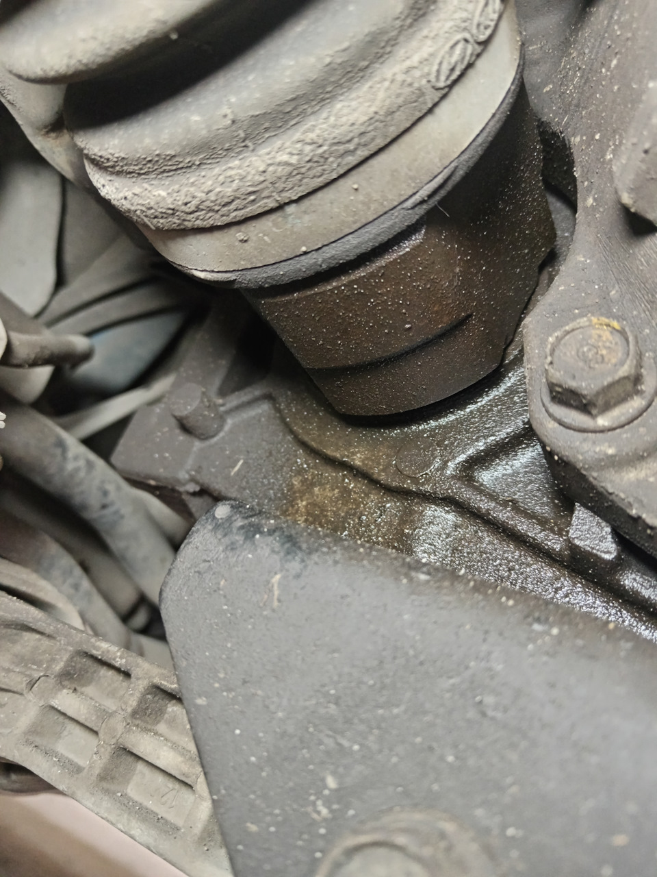 Фото в бортжурнале KIA Rio (3G)