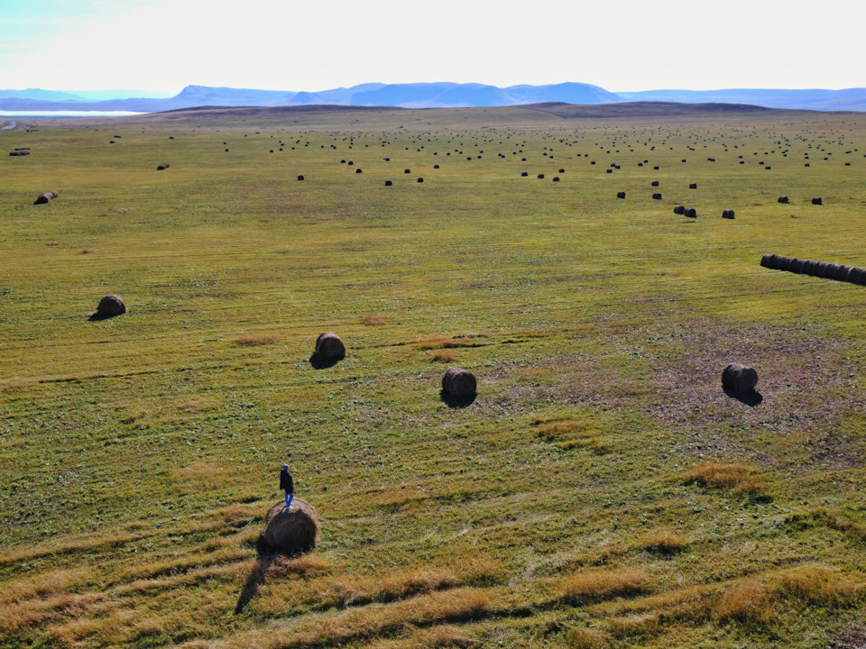 Заготовка корма для животных в Хакасии — Suzuki Alto (8G)