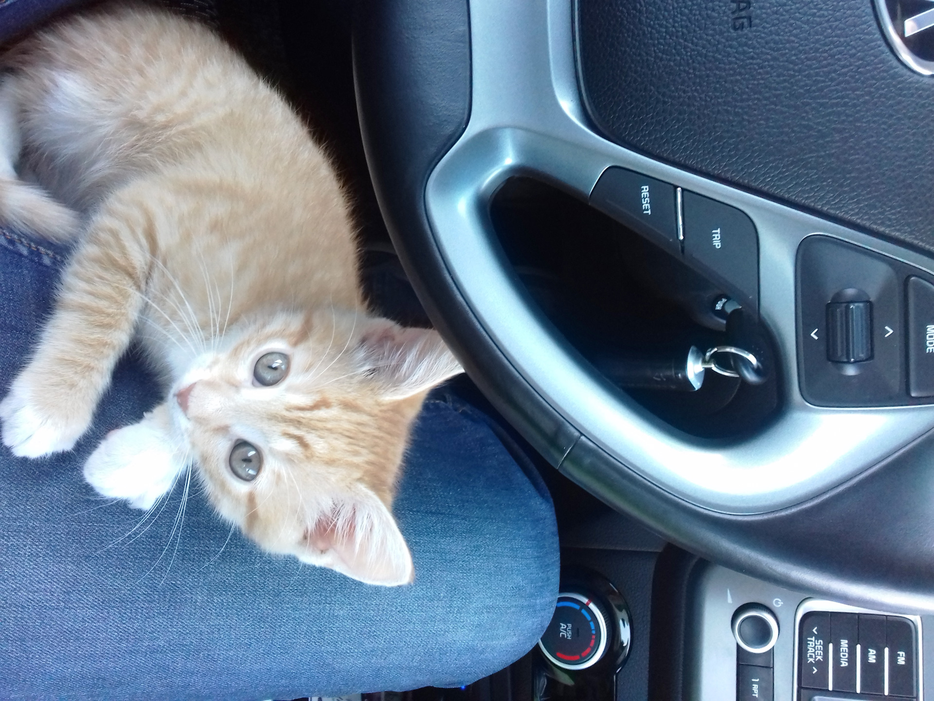 Ниочём. ТО3 / 45000 км / Киа Рио QB FL 1,6-6МКП 2016 — KIA Rio (3G), 1 ...